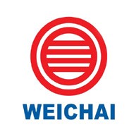 "WEICHAI POWER" 1000160472 Газовый фильтр